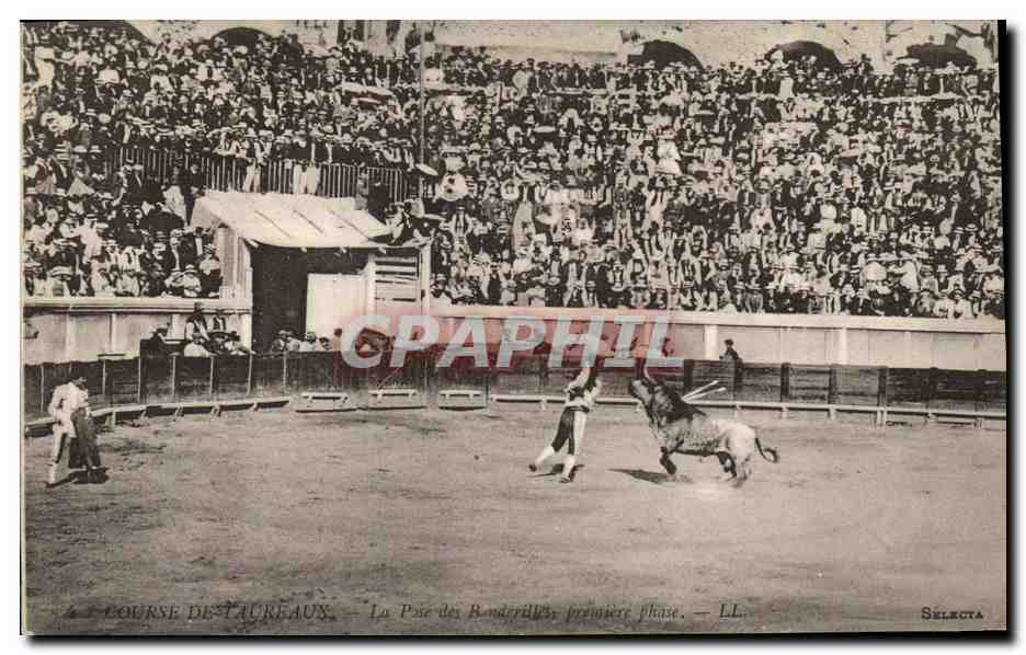 3139690 SPAIN Citando Banderillas Bullfighting TORERO Vintage  Topics -  Cultures & Ethnicities - Ethnics, Postcard / HipPostcard