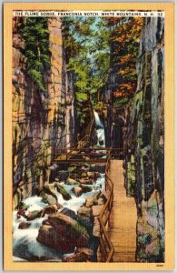 The Flume George Franconia Notch White Mountains New Hampshire NH Postcard