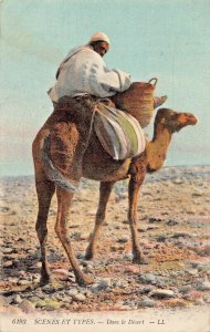 SCENES ET TYPES ~ DANS le DESERT-ARABIAN CAMEL-L. L. TINTED PHOTO POSTCARD