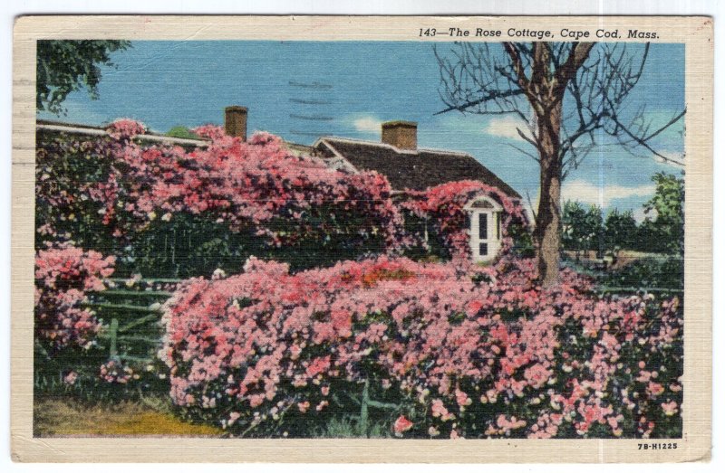 Cape Cod, Mass, The Rose Cottage