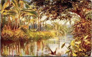 Vtg Fiji River Scene Scenic View 1910s Raphael Tuck Oilette Postcard