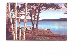 The Perfect Campsite, Picnic Table  Nova Scotia,