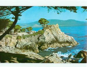 Midway Point carmel bay Coast Beach Calif Monterrey Cypress Postcard # 8047