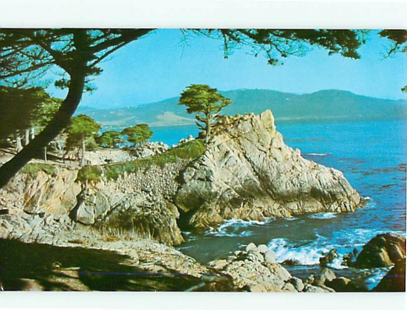 Midway Point carmel bay Coast Beach Calif Monterrey Cypress Postcard # 8047