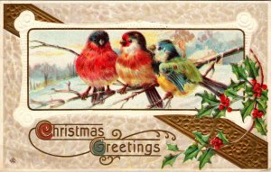 Vintage 1914 Winter Scene Snow Birds Holly Berries Christmas Greetings Postcard
