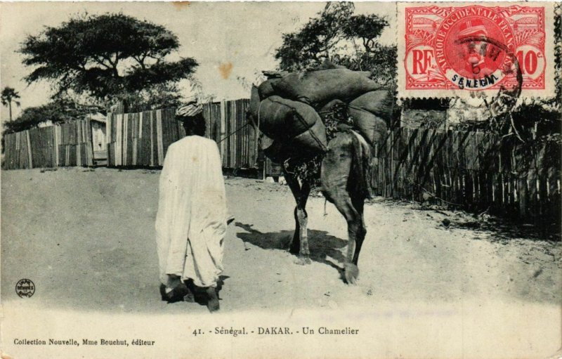 CPA AK Dakar Un Chamelier SENEGAL (821971)