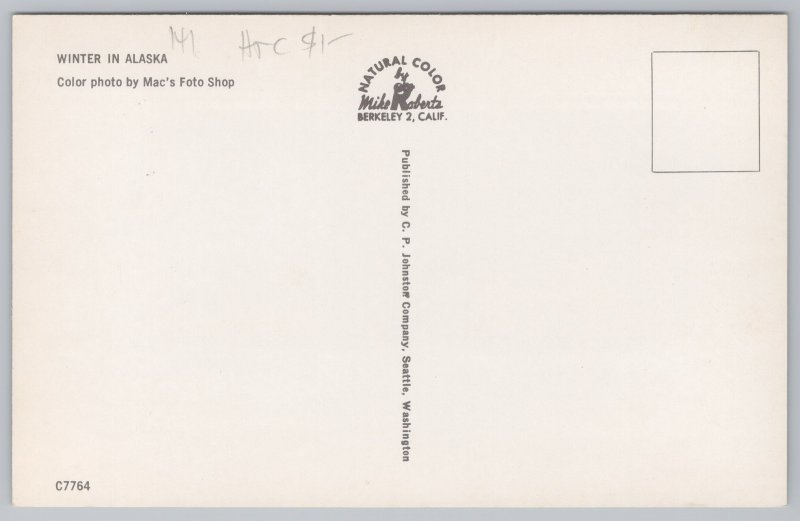 Alaska~Winter View~Man by Frozen Trees~Vintage Postcard