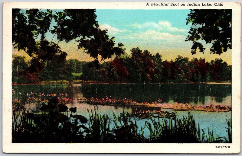 Ohio OH, 1946 Beautiful Spot on Indian Lake, Water Reflection, Vintage Postcard