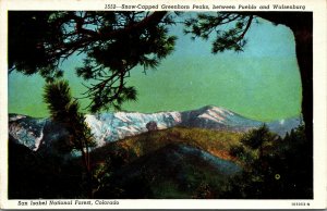 Vtg 1930's Green Horn Peaks San Isabel National Forest Colorado CO Postcard