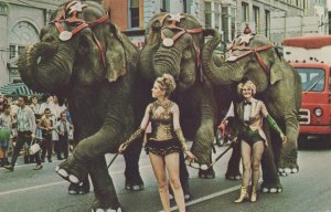 Elephants on Parade Circus City Festival Peru Indiana Postcard