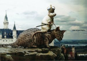 Mouse on Cat Today we hunt dragons Funny Comic New Russian Postcard