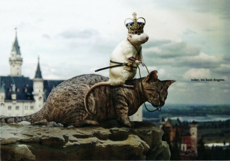 Mouse on Cat Today we hunt dragons Funny Comic New Russian Postcard