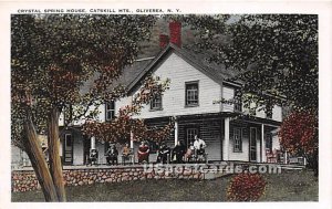 Crystal Spring House, Catskill Mountains - Oliverea, New York