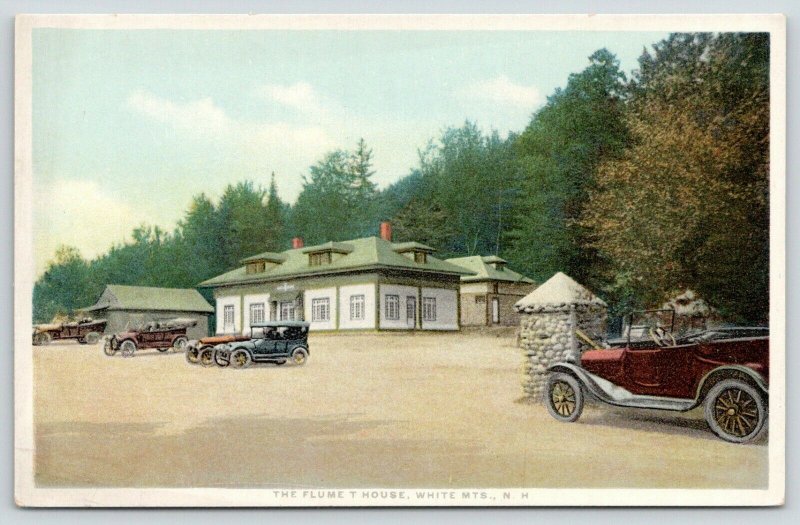 White Mountains New Hampshire~Flume T House~Vintage Cars~c1910 Detroit Pub Co 