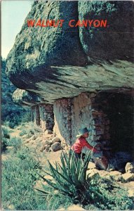 postcard Arizona - Boy in Cowboy hat exploring Walnut Canyon
