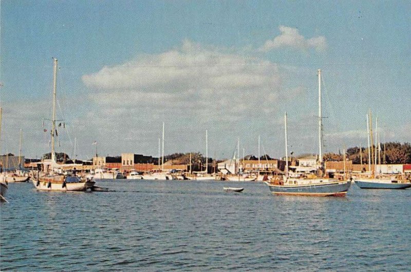 Beaufort North Carolina Sail Boats at Anchor Vintage Postcard AA43899