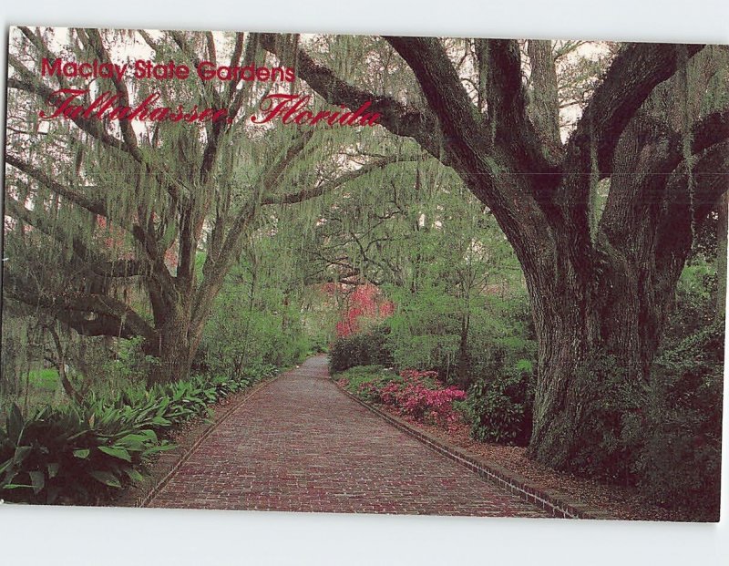 Postcard Maclay State Gardens, Tallahassee, Florida