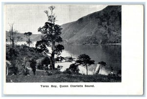 c1905 Boat Landing Torea Bay Queen Charlotte Sound New Zealand Postcard