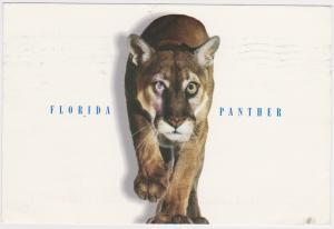 FLORIDA PANTHER UNITED STATES POSTAL CARD