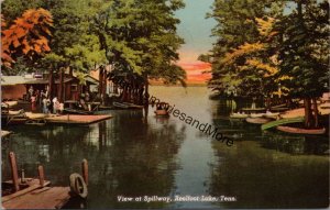 View of Spillway Reelfoot Lake Tennessee Postcard PC237