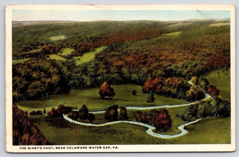 The Giant's Foot Near Delaware Water Gap Pennsylvania Grounds & Trees Postcard 