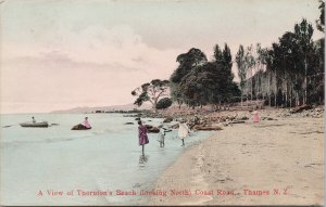 Thornton's Beach Thames NZ New Zealand Postcard E70