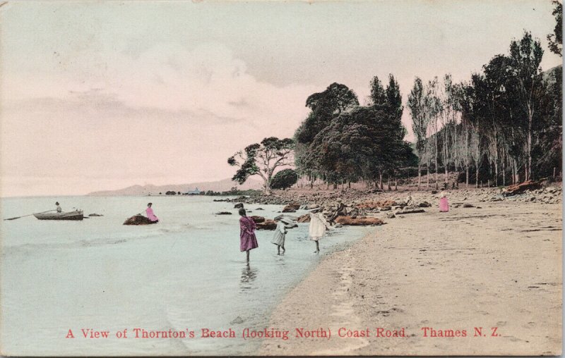 Thornton's Beach Thames NZ New Zealand Postcard E70