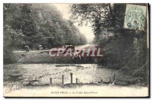 Old Postcard Montargis La Fosse Saint Pierre Cows