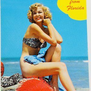 Women Bikini Beach Florida Coastline Beautiful Pinup Blonde Shoreline Postcard