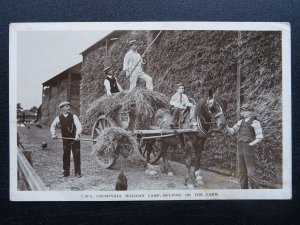 Cheshire Winsford Country Life C.W.S. CRUMPSALL HOLIDAY CAMP - Old RP Postcard