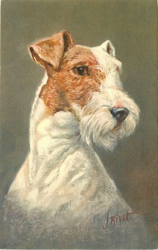 Artist impression Fox Terrier 1940s Postcard #99 Bivrst 10210