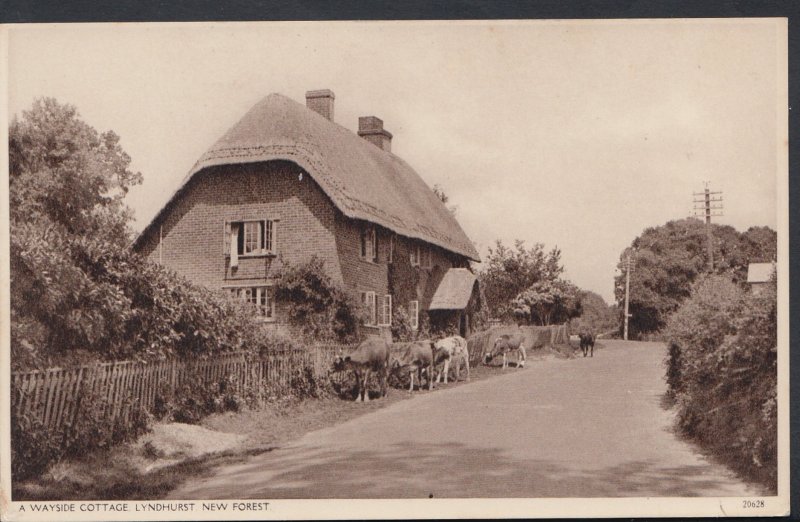 Hampshire Postcard - A Wayside Cottage, Lyndhurst, New Forest DC824