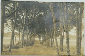 Italy 1907 Wooded Path Roma RPPC to Monopoli Real Photo Postcard K11