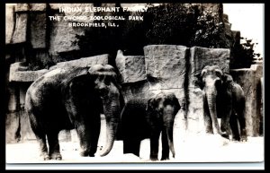 1930s Indian Elephant Family Chicago Zoological Park Brookfield IL RPPC Postcard