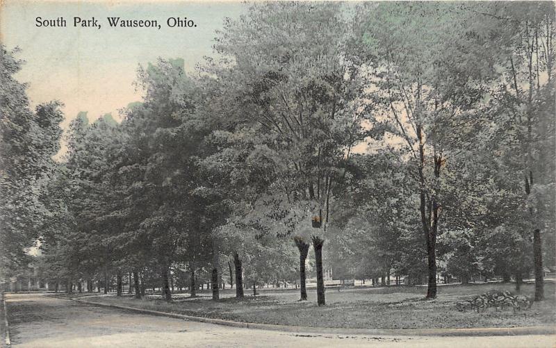 Wauseon Ohio~South Park~Lots of Trees on Grass~c1910 Colored Postcard