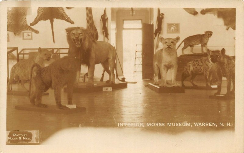 G66/ Warren New Hampshire RPPC Postcard 30s Taxidermy Morse Museum