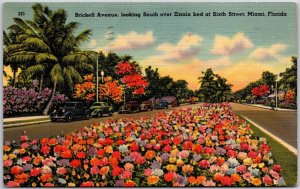 Miami Florida, 1940 Sixth Street, Brickell Avenue, Zinnia Flowers Bed, Postcard