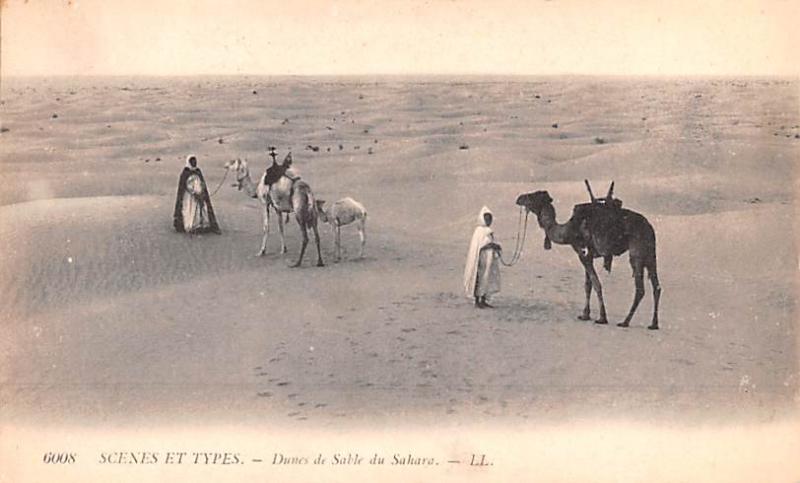 Egypt, Egypte, Africa Dunes de Sable du Sahara  Dunes de Sable du Sahara