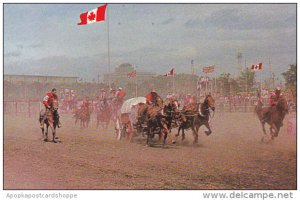 Canada Chuckwagon Races Calgary Stampede Alberta