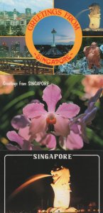 Singapore Flowers Statue Buddha Night Illuminations 3x Postcard s