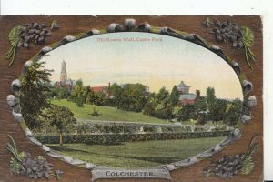 Essex Postcard - Old Roman Wall - Castle Park - Colchester - Ref 15189A