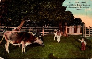 Cows Come Bossy One Of Our Young Leaders 1913