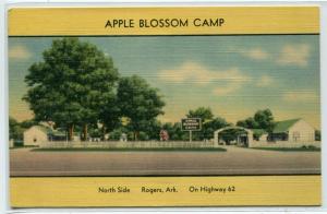 Apple Blossom Camp Motel Rogers Arkansas linen postcard