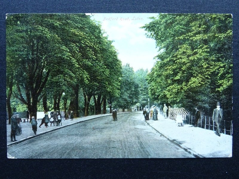 Bedfordshire LUTON Bedford Road c1905 Postcard by E. Deacon & Son