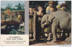 Baby Elephant, Bridge Entrance, Children´s Zoo and Farm, Chicago Zoological ...