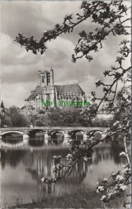 France Postcard - Auxerre - Vue Vers La Cathedrale St Etienne RS27049