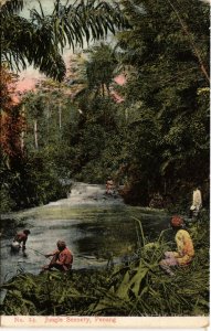 PC CPA PENANG, MALAYSIA, JUNGLE SCENERY, Vintage Postcard (b19129)