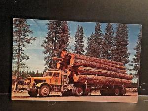 Postcard Roadside Scene, Logging Truck in Oregon & Washington.   X4