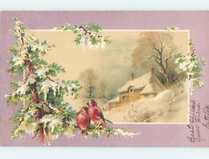 Pre-1907 BEAUTIFUL BIRDS SIT ON PINE TREE BRANCH HL6033