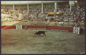 Bullfight Postcard